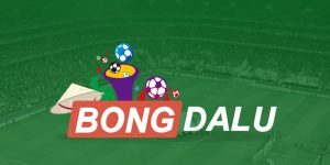 Bóng Đá Lu Là Gì? Trang Bóng Đá Đẳng Cấp Hàng Đầu 2025