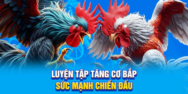 Luyện tập tăng cơ bắp, sức mạnh chiến đấu.