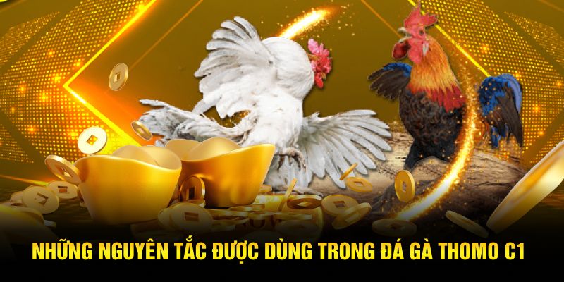 Những nguyên tắc được dùng trong đá gà Thomo C1