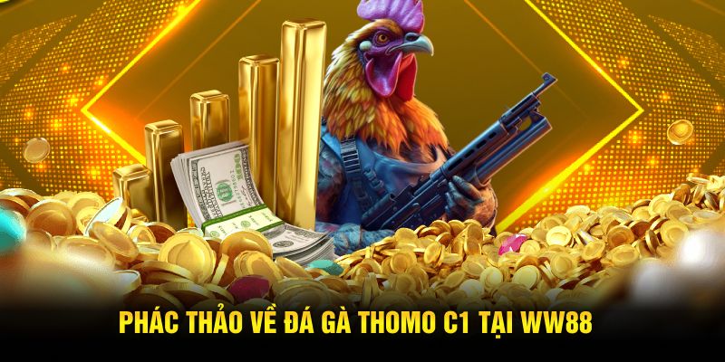 Phác thảo về đá gà Thomo C1 tại WW88 