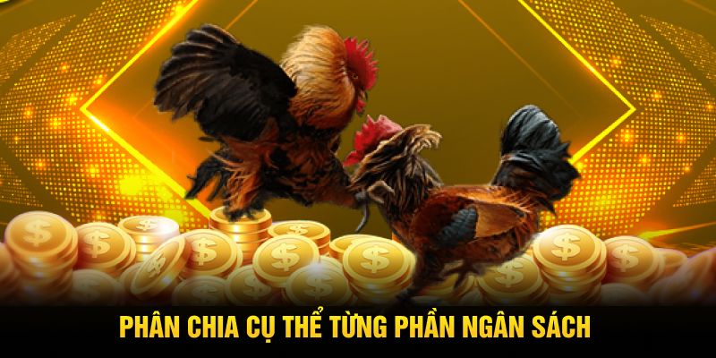 Phân chia cụ thể từng phần ngân sách